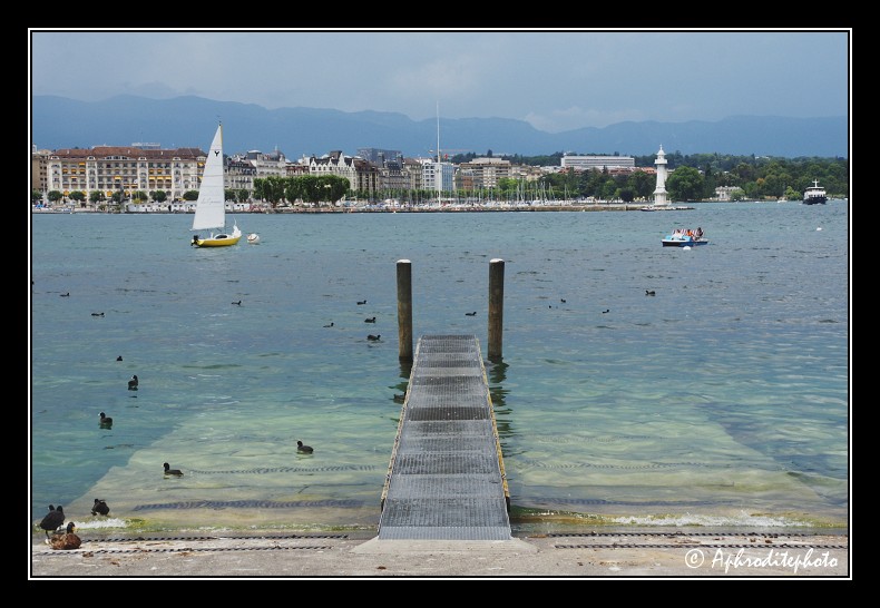 107 Ponton sur le quai des Eaux Vives avec vue sur les bains des Paquis
